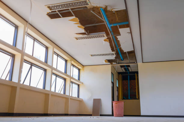 Best Mold removal after water damage  in Galesville, WI
