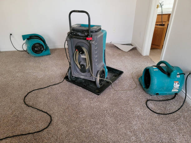 Best Flood restoration services  in Galesville, WI