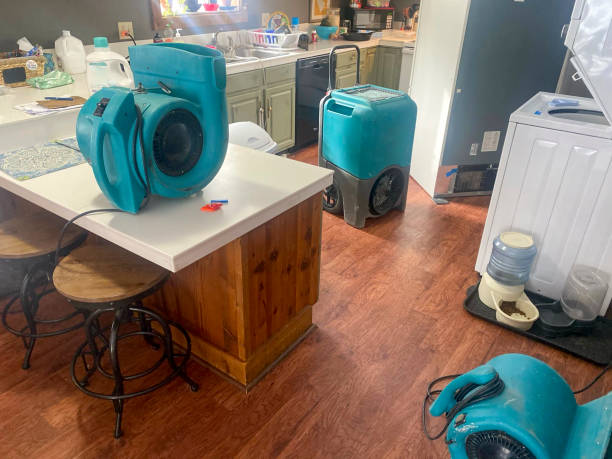 Best Water damage repair service  in Galesville, WI