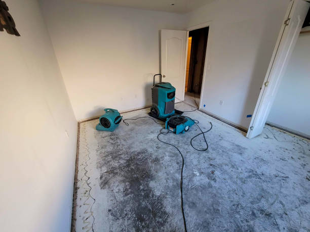 Best Water damage restoration cost  in Galesville, WI