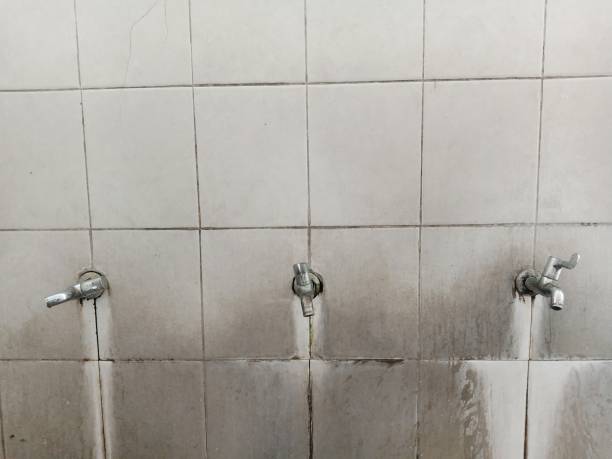 Best Flood restoration services  in Galesville, WI