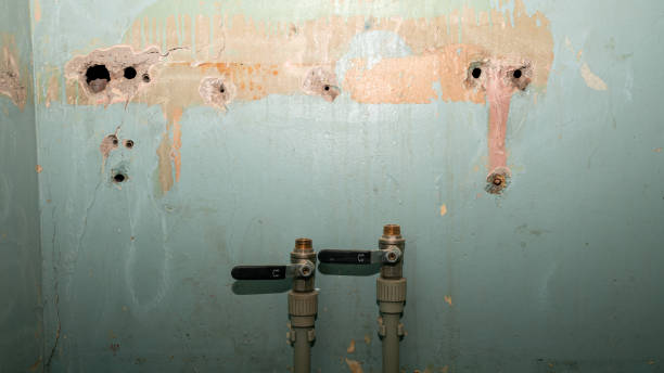 Best Sewage cleanup and water damage restoration  in Galesville, WI