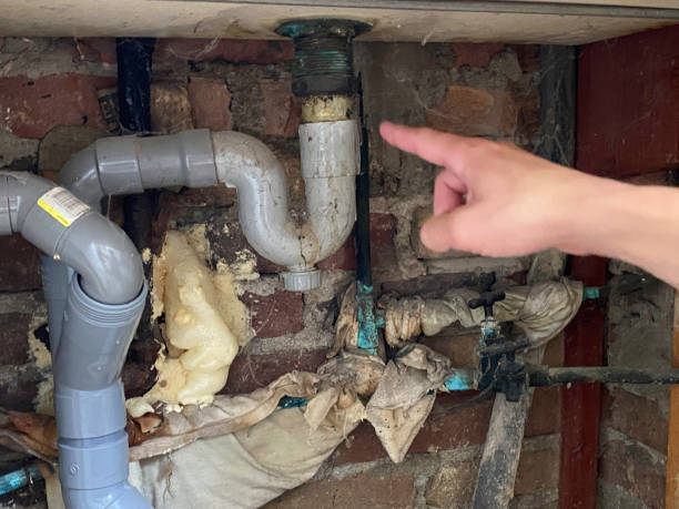 Best 24/7 water damage repair  in Galesville, WI