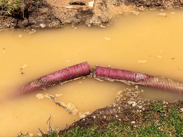 Best Sewage cleanup and water damage restoration  in Galesville, WI