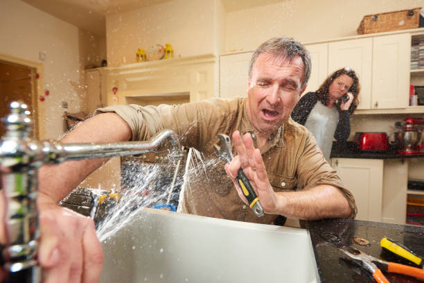 Best Fire Damage Restoration  in Galesville, WI